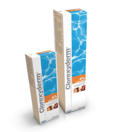ICF CLOREXYDERM SOL.SCHIUMA 4% 100ML
