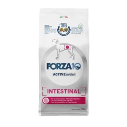 DOG FORZA10 10KG ACTIVE INTESTNAL
