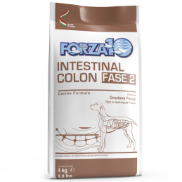 DOG FORZA10 ACTIVE INTESTINAL 4KG COLON FASE 2