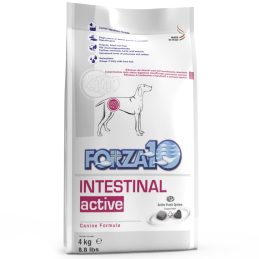 DOG FORZA10 ACTIVE INTESTINAL 4KG